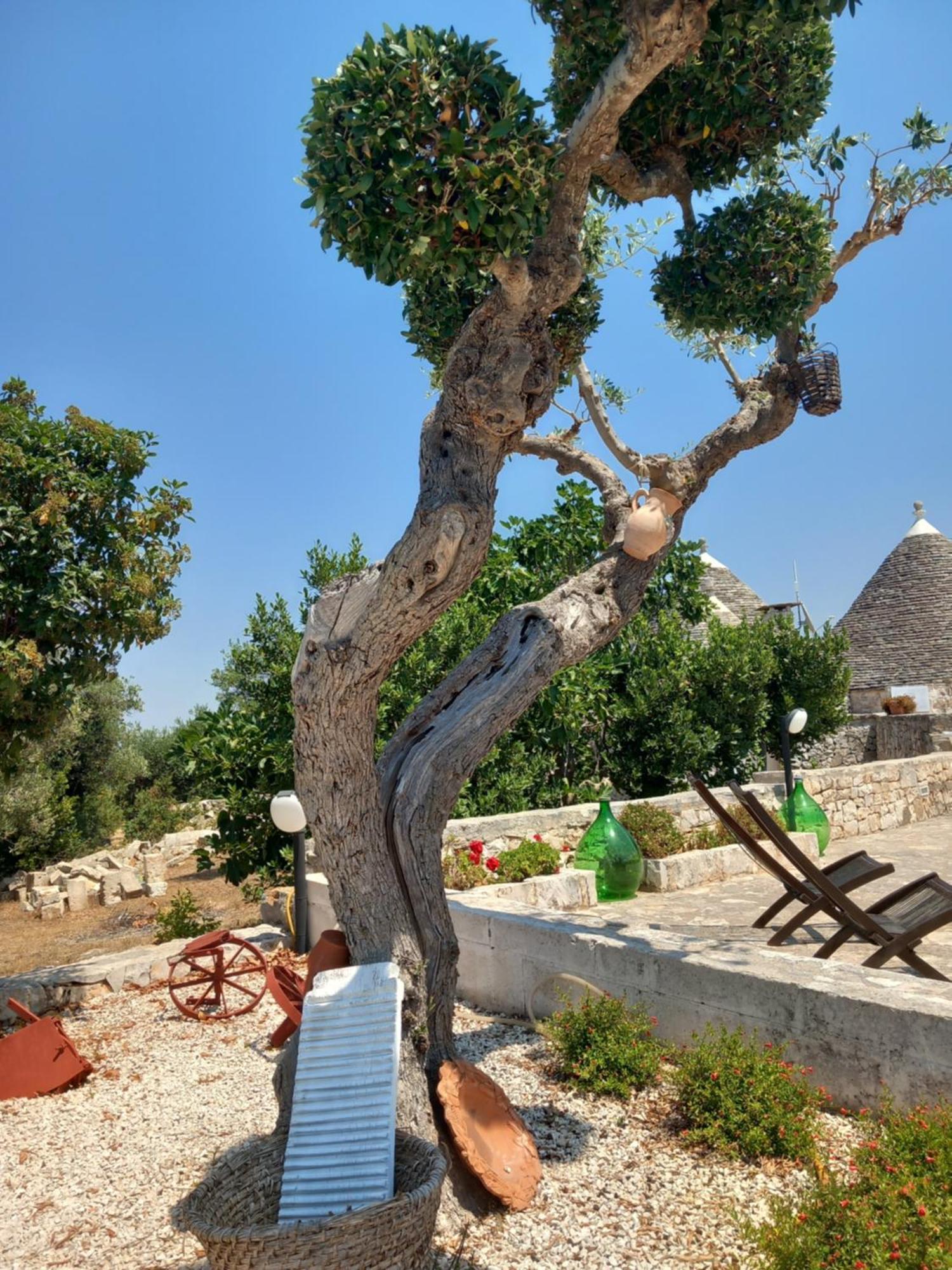 Trullo Monte Del Sale Guest House Alberobello Exterior photo