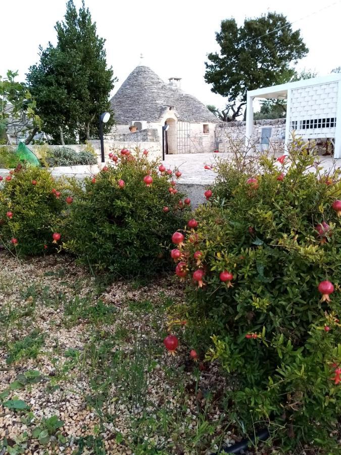 Trullo Monte Del Sale Guest House Alberobello Exterior photo